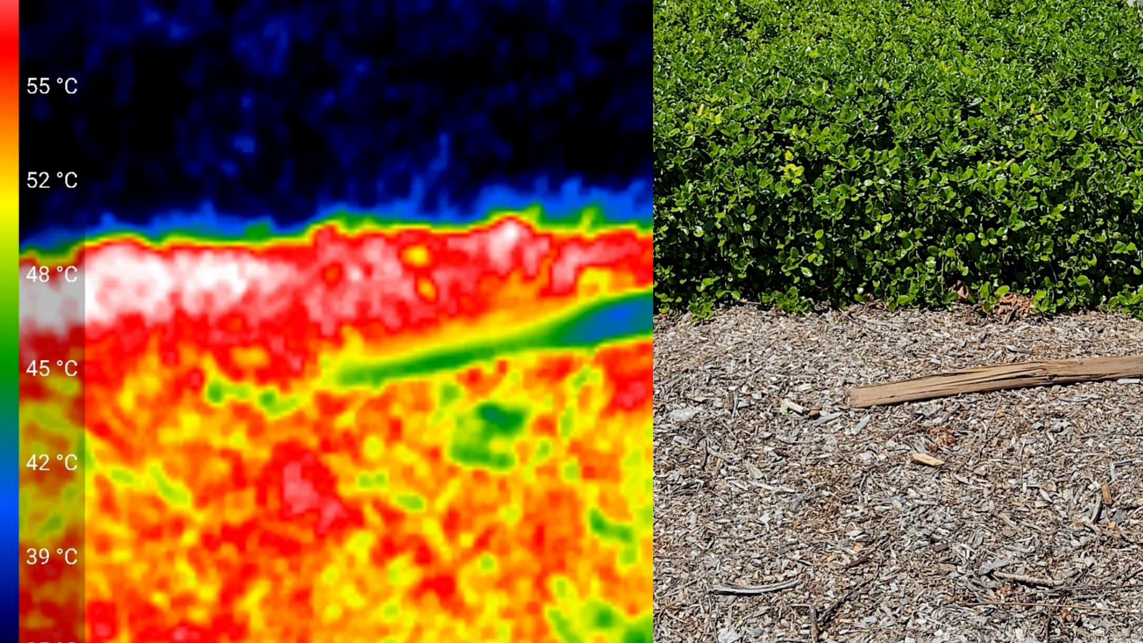 A comparison of a thermal camera image (left) and the photo of a garden box (right)