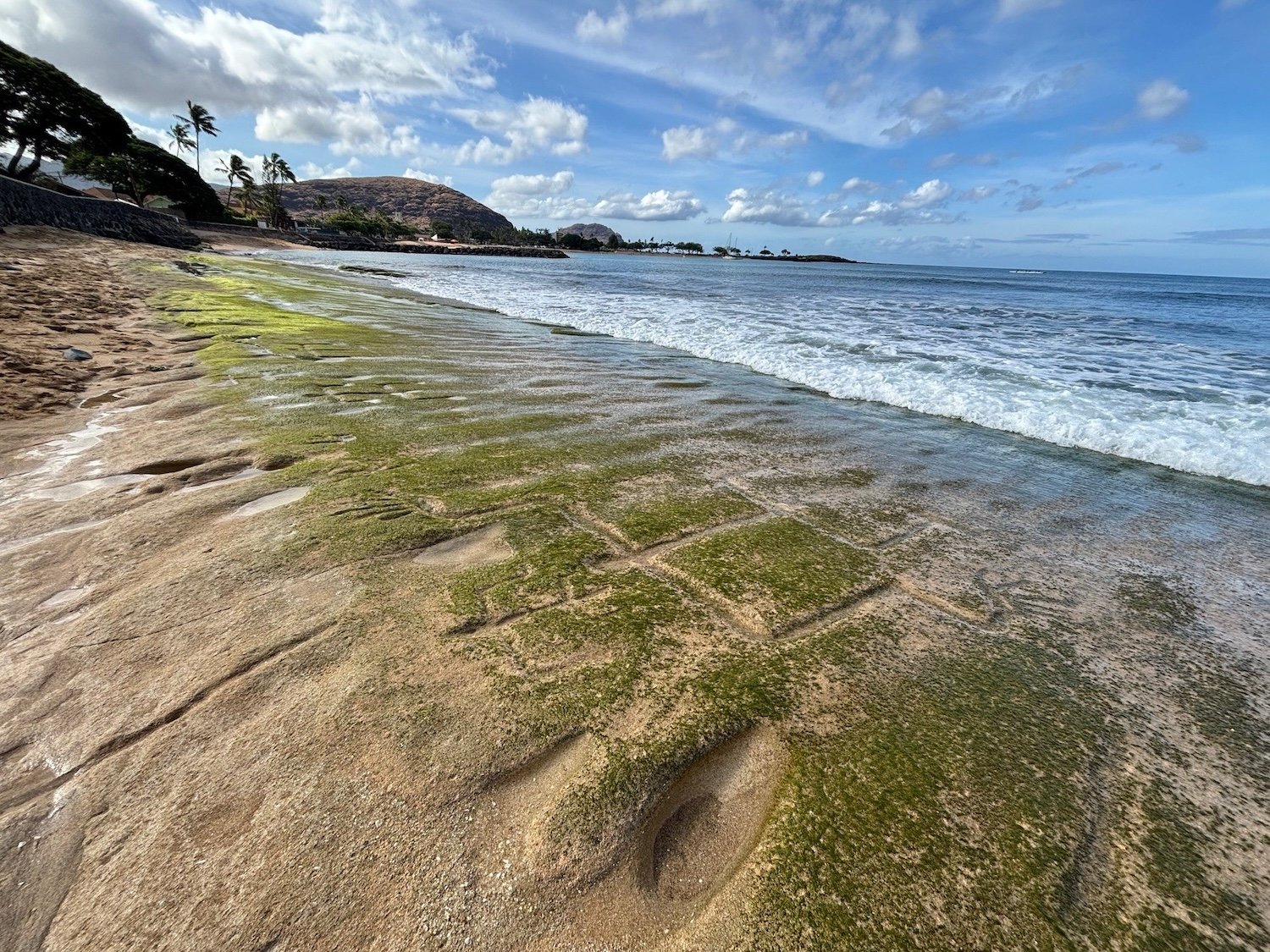 Hawaiian petroglyphs on sandstone beach next to ocean with mountains in distance