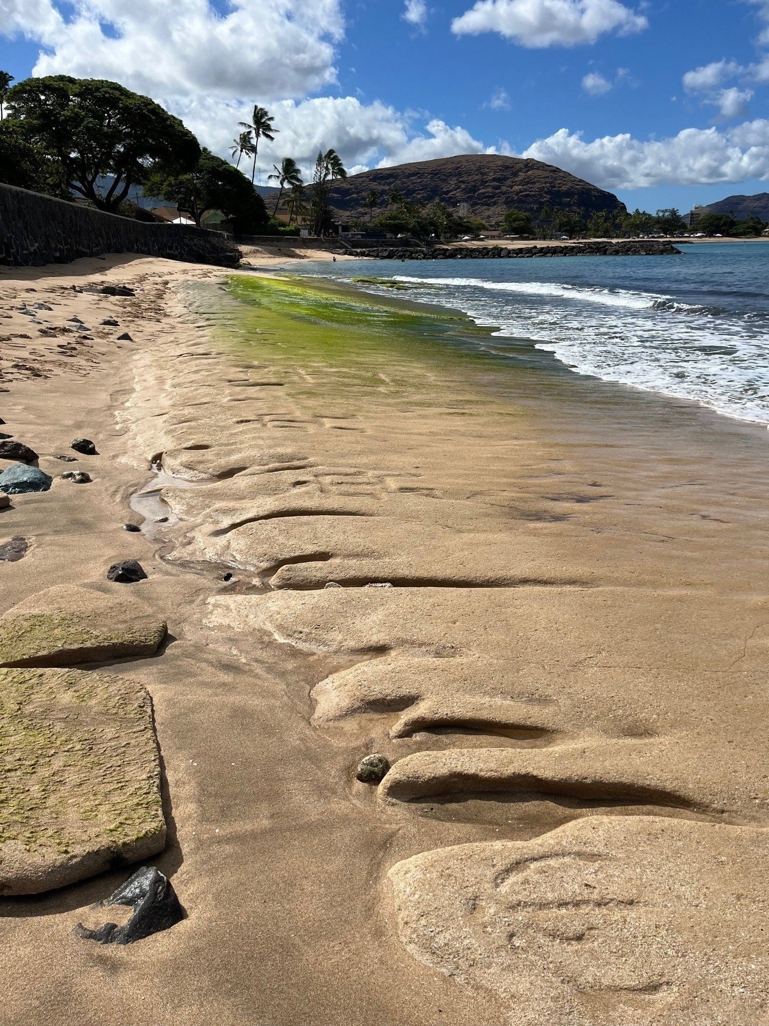 Hawaiian petroglyphs on sandstone beach next to ocean with mountains in distance