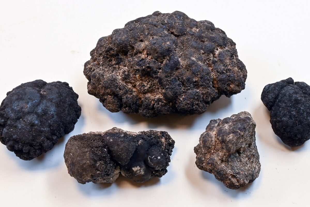 Manganese nodule from the South Pacific.