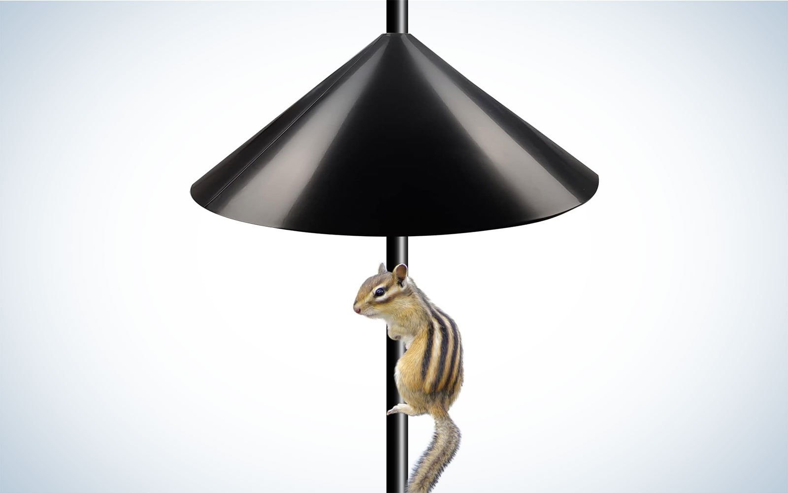 bird feeder baffle