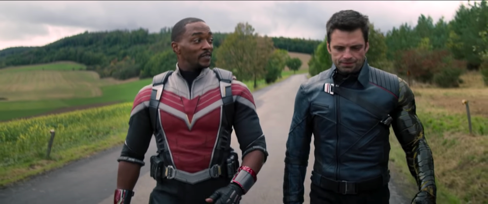 the falcon and winter soldier show