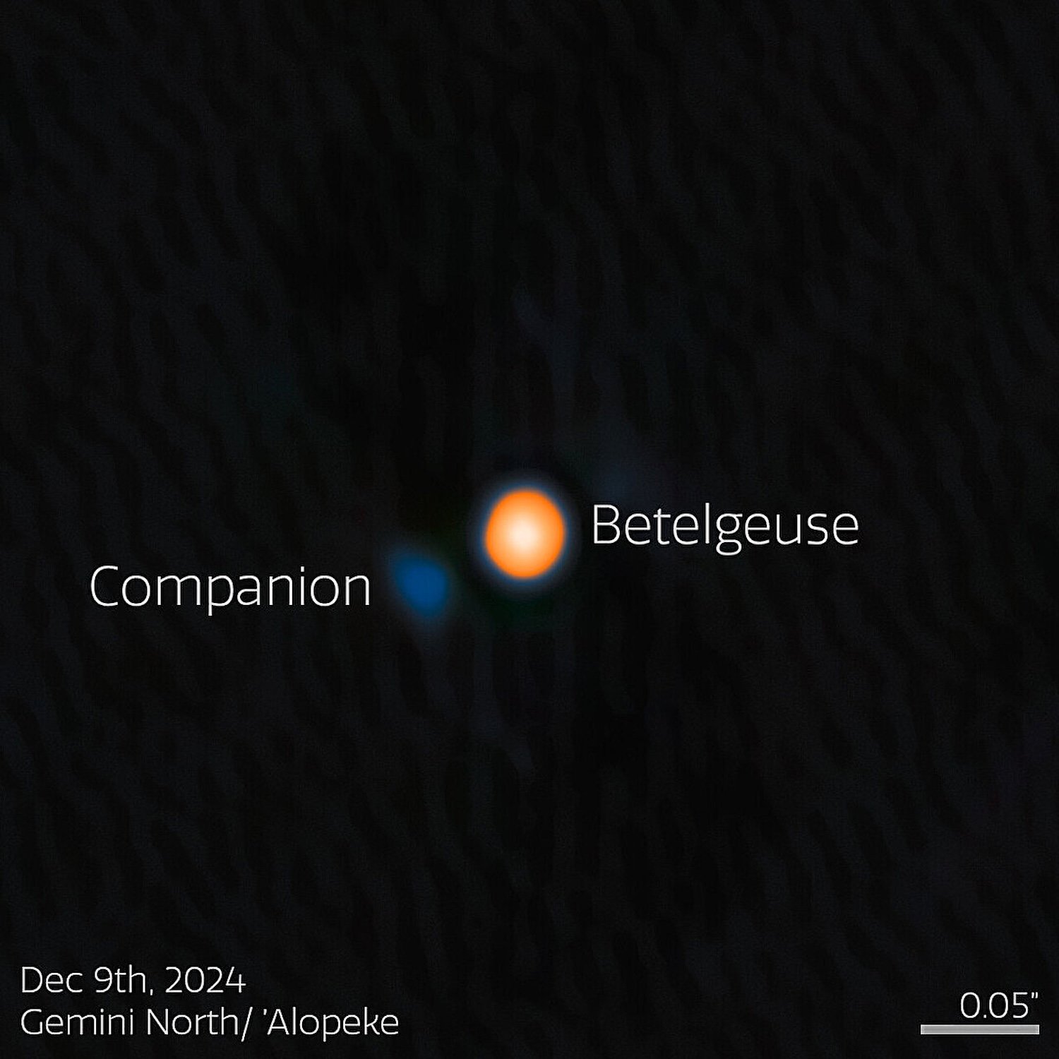 Using the 'Alopeke instrument on the Gemini North telescope, one half of the International Gemini Observatory, operated by NSF NOIRLab, astronomers have discovered a companion star in an incredibly tight orbit around Betelgeuse. This discovery answers the millennia-old question of why this famous star experiences a roughly six-year-long periodic change in its brightness, and provides insight into the physical mechanisms behind other variable red supergiants. The companion star appears blue here because, based on the team's analysis, it is likely an A- or B-type star, both of which are blue-white due to their high temperatures. Credit: International Gemini Observatory/NOIRLab/NSF/AURA. Processing: M. Zamani (NSF NOIRLab)