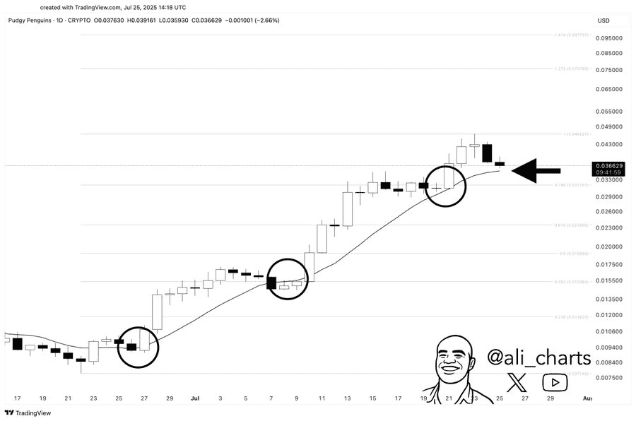 Pudgy Penguins (PENGU) Price Soars 13.42%, Eyes Breakout Toward $0.097 3 image 800