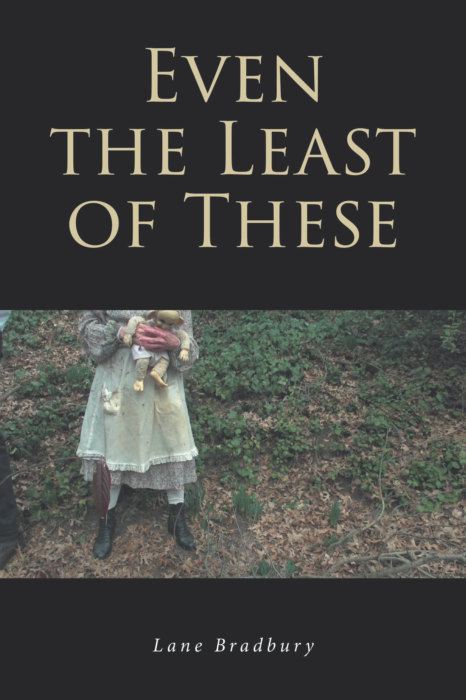 Lane Bradbury’s New Book, 