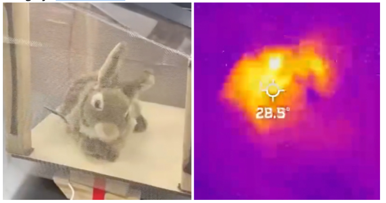 a robot bunnies and its heat marker
