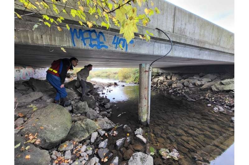Credit: Dr. Timothy Rodgers UBC-led international team proposes global framework to tackle toxic tire pollution crisis
