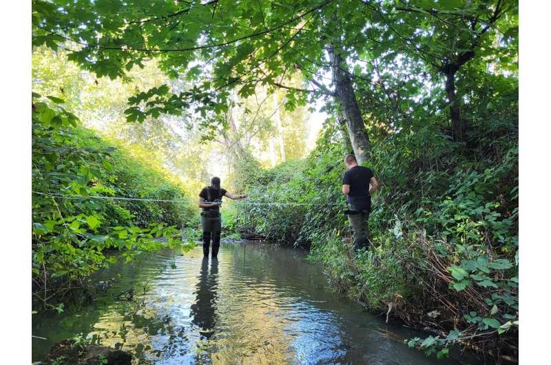UBC researchers are surveying ponds, creeks and streams across the Lower Mainland in B.C. in hopes of building future rain gardens and other UBC-led international team proposes global framework to tackle toxic tire pollution crisis