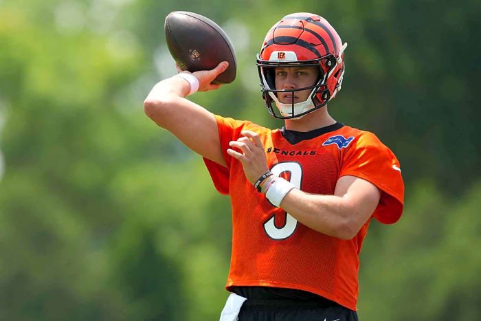 Cincinnati Bengals
