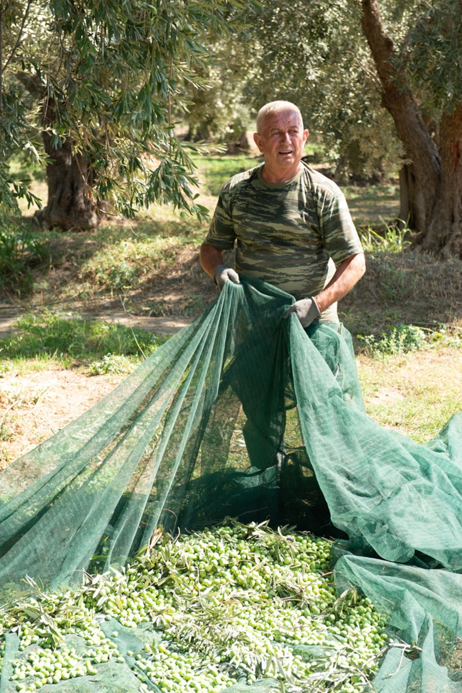 A man holds a huge sack of olives