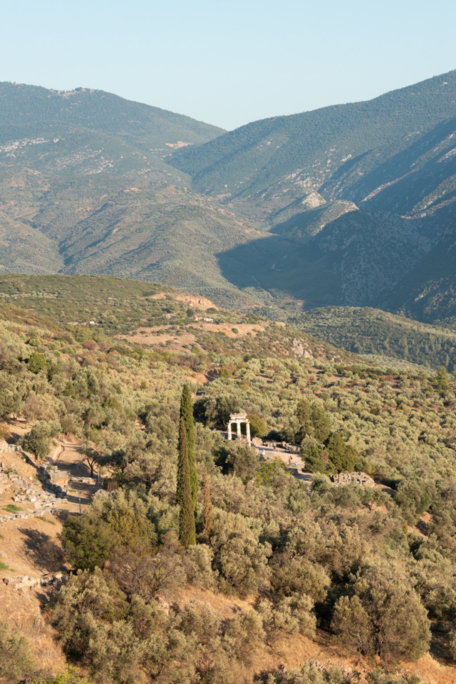 A distant photo of Delphi popping up amongst the olive trees in a valley