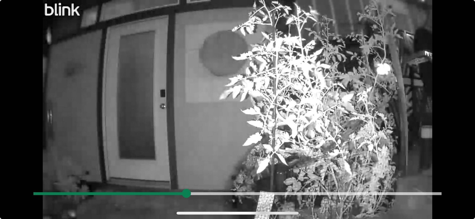 Blink Outdoor 4 black-and-white night vision