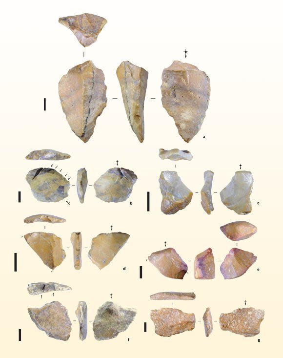Stone artifacts from the site of Calio, Sulawesi, Indonesia. Image credit: Hakim et al., doi: 10.1038/s41586-025-09348-6.